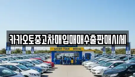 경기 안성시 대천동 중고차 전문 카카오토중고차매입매매수출판매시세