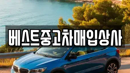 경기 안성시 대천동 중고차매입 전문 베스트중고차매입상사