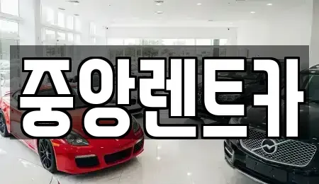경기 안성시 미양면 렌트카 전문 중앙렌트카