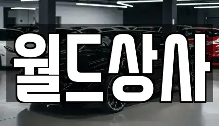 경기 안성시 미양면 중고차매매 전문 월드상사