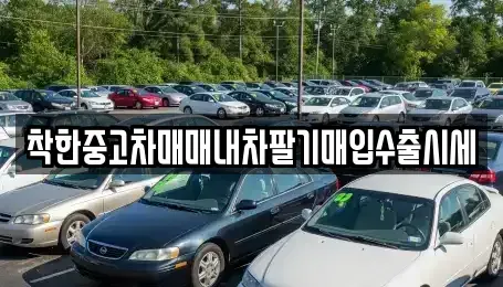 경기 양주시 회암동 중고차매입 전문 착한중고차매매내차팔기매입수출시세