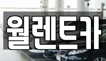 경기 여주시 상동 렌트카 전문 월렌트카