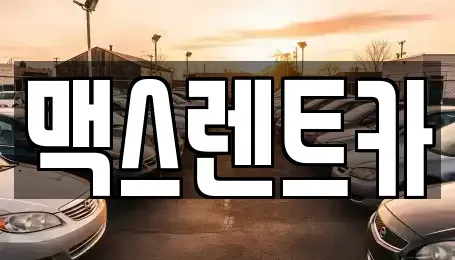 경기 용인시 기흥구 상하동 렌트카 전문 맥스렌트카