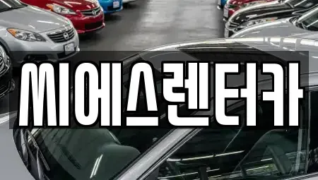 경기 용인시 기흥구 청덕동 렌트카 전문 씨에스렌터카