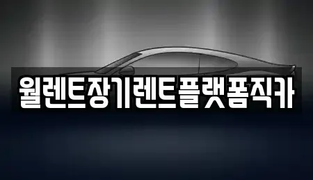 경기 용인시 기흥구 청덕동 렌트카 전문 월렌트장기렌트플랫폼직카