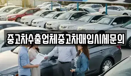 경기 용인시 기흥구 청덕동 중고차매입 전문 중고차수출업체중고차매입시세문의