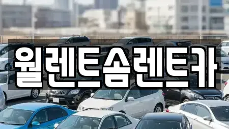 경기 이천시 마장면 렌트카 전문 월렌트솜렌트카