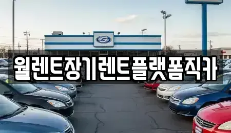 경기 이천시 마장면 장기렌트카 전문 월렌트장기렌트플랫폼직카