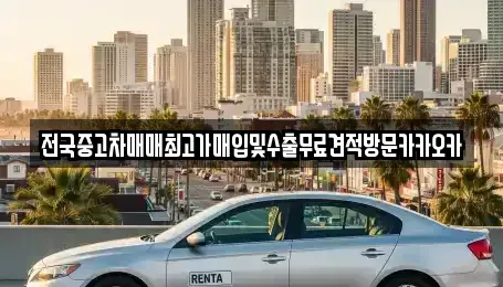 경기 이천시 마장면 중고차매매 전문 전국중고차매매최고가매입및수출무료견적방문카카오카