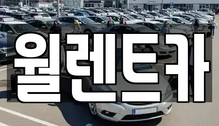 경기 이천시 부발읍 렌트카 전문 월렌트카
