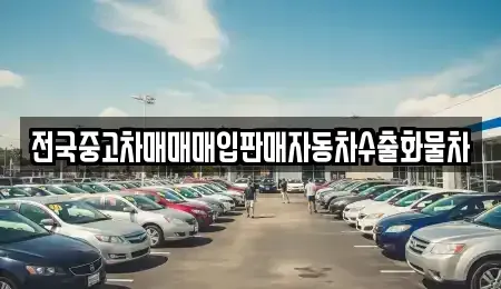 경기 파주시 서패동 중고차 전문 전국중고차매매매입판매자동차수출화물차