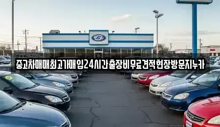 경기 파주시 서패동 중고차 전문 중고차매매최고가매입24시간출장비무료견적현장방문지누카