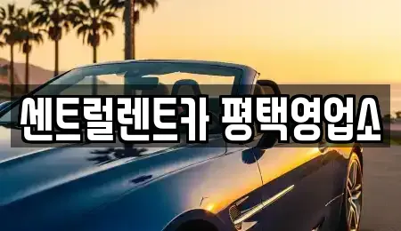 경기 평택시 단기렌트카 전문 센트럴렌트카 평택영업소