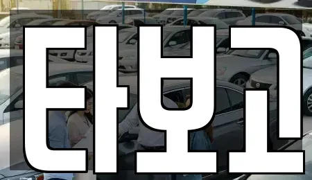 경기 평택시 단기렌트카 전문 타보고
