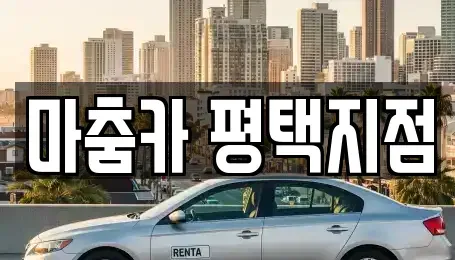 경기 평택시 렌트카 전문 마춤카 평택지점