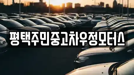경기 평택시 중고차 전문 평택주민중고차우정모터스