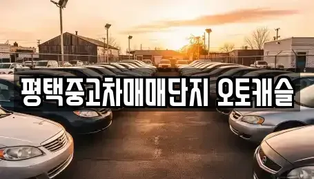 경기 평택시 중고차 전문 평택중고차매매단지 오토캐슬