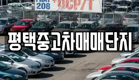 경기 평택시 중고차 전문 평택중고차매매단지