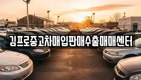 경기 평택시 중고차매입 전문 김프로중고차매입판매수출매매센터