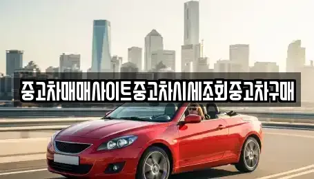 경기 포천시 동교동 중고차 전문 중고차매매사이트중고차시세조회중고차구매