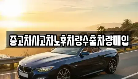 경기 포천시 동교동 중고차 전문 중고차사고차노후차량수출차량매입