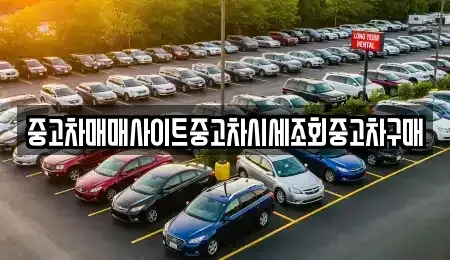 경기 포천시 어룡동 중고차 전문 중고차매매사이트중고차시세조회중고차구매
