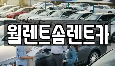경기 하남시 창우동 렌트카 전문 월렌트솜렌트카