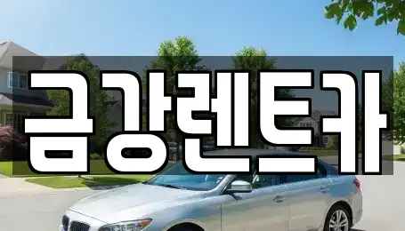 경기 화성시 금곡동 렌트카 전문 금강렌트카