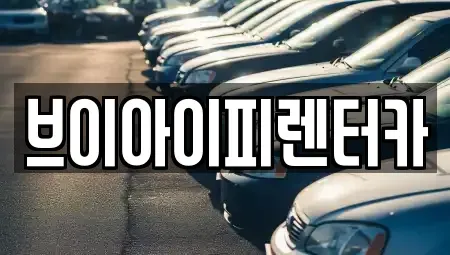 경기 화성시 금곡동 렌트카 전문 브이아이피렌터카