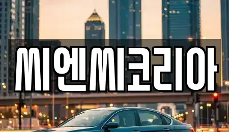 경기 화성시 금곡동 장기렌트카 전문 씨엔씨코리아