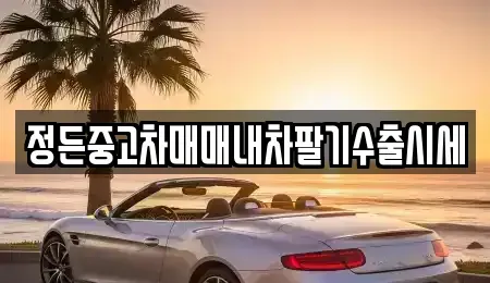경기 화성시 금곡동 중고차 전문 정든중고차매매내차팔기수출시세