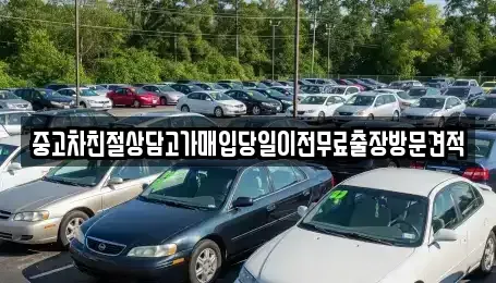 경기 화성시 금곡동 중고차 전문 중고차친절상담고가매입당일이전무료출장방문견적