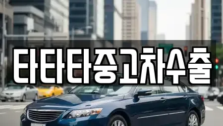 경기 화성시 금곡동 중고차 전문 타타타중고차수출