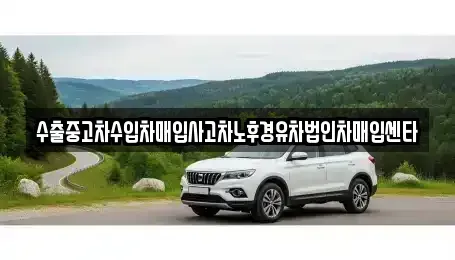 경기 화성시 팔탄면 중고차매매 전문 수출중고차수입차매입사고차노후경유차법인차매입센타