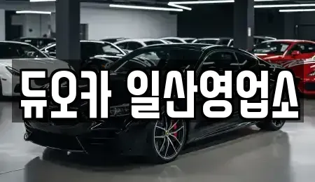 경기도 고양시 덕양구 행주내동 렌트카 전문 듀오카 일산영업소