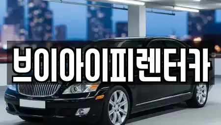 경기도 고양시 덕양구 행주내동 렌트카 전문 브이아이피렌터카
