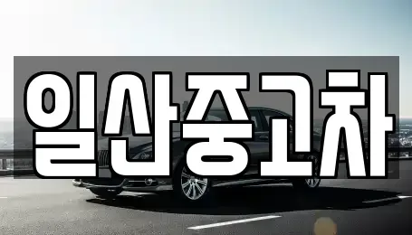 경기도 고양시 덕양구 행주내동 중고차 전문 일산중고차
