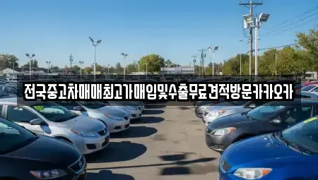 경기도 고양시 덕양구 행주내동 중고차매입 전문 전국중고차매매최고가매입및수출무료견적방문카카오카