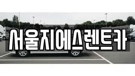 경기도 고양시 덕양구 향동동 렌트카 전문 서울지에스렌트카