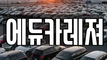 경기도 고양시 덕양구 향동동 렌트카 전문 에듀카레져