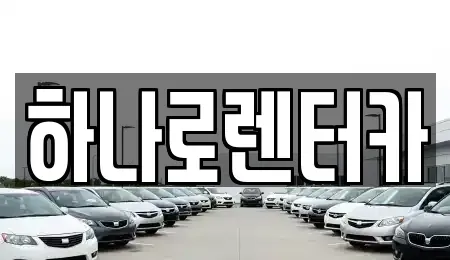 경기도 고양시 덕양구 향동동 렌트카 전문 하나로렌터카