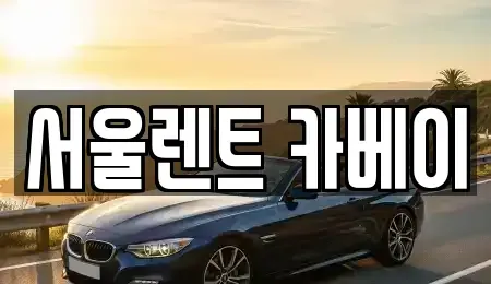 경기도 고양시 덕양구 향동동 장기렌트카 전문 서울렌트 카베이