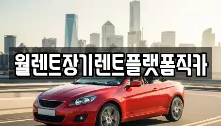 경기도 고양시 덕양구 향동동 장기렌트카 전문 월렌트장기렌트플랫폼직카