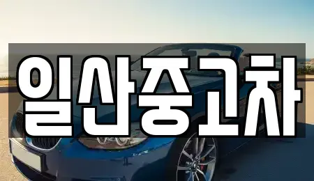 경기도 고양시 덕양구 향동동 중고차 전문 일산중고차