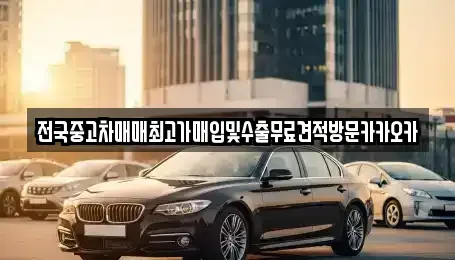 경기도 고양시 덕양구 향동동 중고차 전문 전국중고차매매최고가매입및수출무료견적방문카카오카