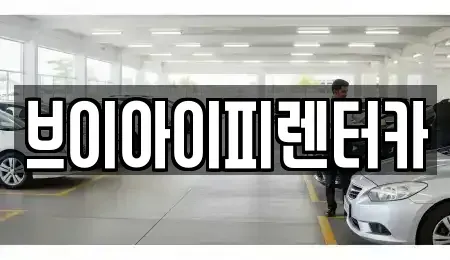 경기도 고양시 일산동구 성석동 렌트카 전문 브이아이피렌터카