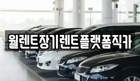 경기도 고양시 일산동구 성석동 장기렌트카 전문 월렌트장기렌트플랫폼직카