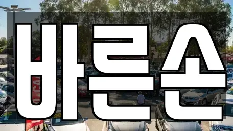 경기도 고양시 일산동구 성석동 중고차매매 전문 바른손