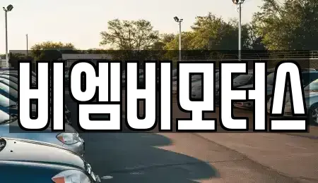 경기도 고양시 일산동구 성석동 중고차매매 전문 비엠비모터스