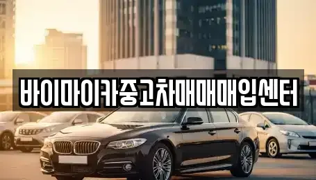 경기도 고양시 일산동구 성석동 중고차매입 전문 바이마이카중고차매매매입센터